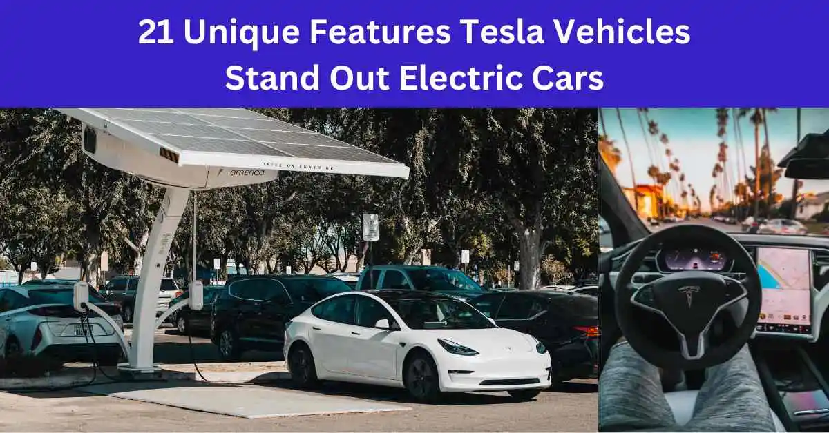 21 Unique Features Tesla Vehicles Stand Out Electric Cars